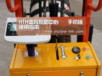 hth手机版登录案例展示三